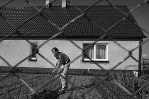 Nowa Wieś koło Śmigla - godzina16:48 Katarzyna Lisowska ma 12 lat. W przydomowym ogródku pomaga swojej babci przy 