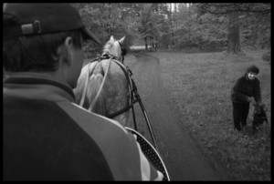 Gołębin Stary – stadnina koni, w byłym PGR. Powozi Bartłomiej Kwiatek (Poznań) z Klubu Jeździeckiego Gołębin Stary