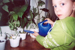 19. Fot. Emilia Chrzanowska. Kościan, Ola W. pielęgnuje wzrastającą fasolkę w kąciku przyrody. Zdjęcie wykonałam w sali ,,Zajączków’’ Samorządowego Przedszkola nr 4.