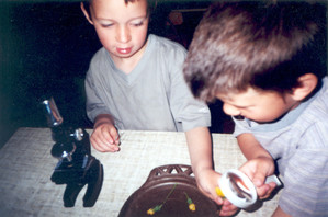 20. Fot. Emilia Chrzanowska. Kościan, Mateusz i Tobiasz W. ,,badający’’ po lupą i mikroskopem mniszka lekarskiego. Zdjęcie wykonałam w sali ,,Zajączków’’ Samorządowego Przedszkola nr 4.