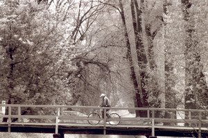 22. Fot. Krzysztof Bajsztok. Kościan, rowerzysta na mostku niedaleko ,,Łazienek’’.