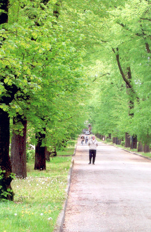 23. Fot. Krzysztof Bajsztok. Kościan, mężczyzna spacerujący na terenie ,,sanatorium’’.