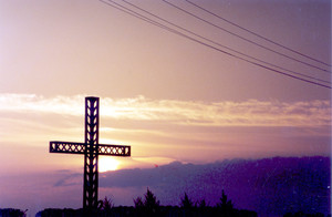 77. Fot. Zbigniew Przydrożny. Droga Gryżyna - Nielęgowo 