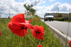11:16 Drogą Łuszkowo- Zbęchy jedzie pracownik hurtowni rozwożącej do okolicznych sklepów artykuły chemiczne.