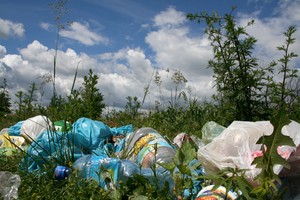 11:42 Widok nielegalnego wysypiska śmieci pod Zbychami kontrastuje z przepiękną przyrodą otaczającą wieś.