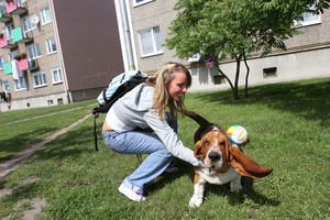 Kościan, ul. Wyzwolenia. Paulina Jaśkiewicz na spacerze z bassetem Brandonem. Brandon uwielbia piłki, w swoim niespełna rocznym życiu wykończył już cztery.