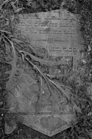 Cmentarz poewangelicki w Śmiglu.