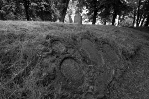 Cmentarz poewangelicki w Śmiglu.