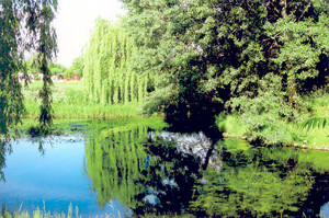 Fot. Stanisław Walkowiak. Rozwidlenie Kanału Kościańskiego, za mostem na ulicy Łąkowej w Kościanie.