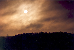 Fot. Zbigniew Przydróżny.