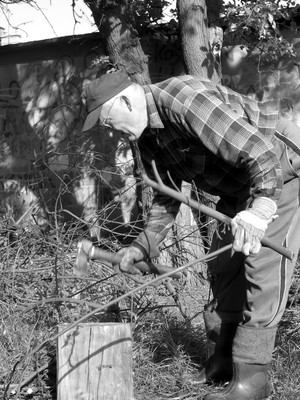 Fot. Johann Bączkiewicz. Mój dziadek rąbiący drzewo na działce koło dworca PKP w Kościanie. 