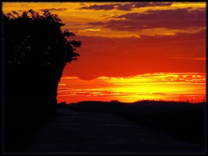 Fot. Krzysztof Bajsztok. Zdjęcie przedstawia widok na zachód słońca w  drodze z Sierakowa do Szczodrowa, wykonane podczas przejażdżki rowerowej  około godziny 22:00.