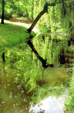 Fot. Tomasz Boguś. Kanał Obry przy ul. Nadobrzańskiej w Kościanie.