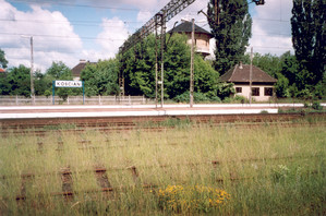 Fot. Maria Musiał. Fragment terenu dworca PKP w Kościanie. Na pierwszym planie zarośnięta bocznica.