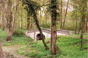 Fot. Renata Majorek. ,,Mostek westchnień’’ w parku jarogniewickiego Domu Pomocy Społecznej. 