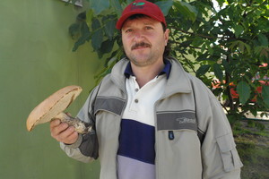 Fot. Paweł Sałacki.  Zbigniew Durka przyniósł do redakcji Gazety Kościańskiej imponującego koźlaka czerwonego, którego znalazł na bocznicy kolejowej w Lesznie. Średnica kapelusza zdrowego grzyba wynosiła aż 23 cm.