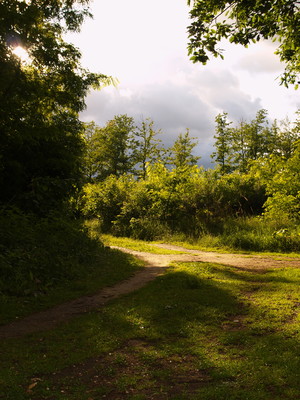 Fot. Michał Olszewski. Najbliższe sąsiedztwo.