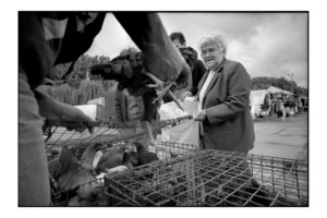 Na kościańskim targu można wiele kupić. Leokadia Nowak z rodziną, przyjechała po kury z Brodnicy.