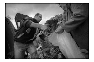 Maciej Borak od ponad 10 lat handluje kurami. Prowadzi własną hodowlę kur. Jego rodzina handluje kurami na wielu targowiskach w Wielkopolsce np. w Buku. Na kościański targ Pan Maciej przyjeżdza z Witobla.