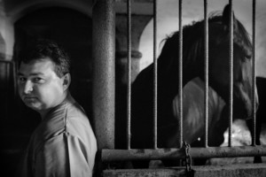 Zdjęcia powstały w Witkówkach i Racocie. Bohaterem zdjęć jest weterynarz - Michał Stanisławiak, który opiekuje się końmi w kilku stadninach na terenie Powiatu Kościańskiego