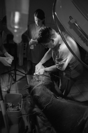 Zdjęcia powstały w Witkówkach i Racocie. Bohaterem zdjęć jest weterynarz - Michał Stanisławiak, który opiekuje się końmi w kilku stadninach na terenie Powiatu Kościańskiego