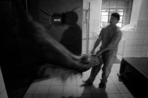 Zdjęcia powstały w Witkówkach i Racocie. Bohaterem zdjęć jest weterynarz - Michał Stanisławiak, który opiekuje się końmi w kilku stadninach na terenie Powiatu Kościańskiego