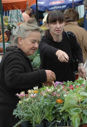 Kościan targowisko.