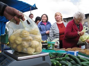 Rynek w Czempiniu. Stragan warzywny braci Pilarskich z Jarogniewic.  Godz.10.40