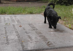 Obok rąbińskiego kościoła znajduje się nekropolia rodu Chłapowskich. Przyjezdnych do grobu generała zaprowadzi pies proboszcza.