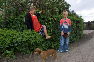 Sobkowiak Natalia z wnukiem Kamilem z Kopaszewa. Zrwyają czereśnie w przydomowym sadzie