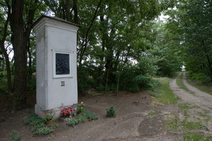 Droga krzyżowa w Kopaszewie, gdzieś w polu, stacja nr III