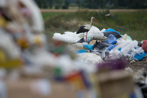 Wysypisko w Krzywiniu.