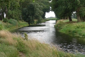 Autor - Zbigniew Dominiak. Zdjęcie przedstawia widok na Kościański Kanał Obry z brzegu niedaleko mostu przy ulicy Młyńskiej w Kościanie (tzw. 