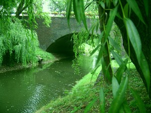 Fot. Marcin Nadobnik. Most na Kanale Obry przy ul. Wrocławskiej. Fotografia została wykonana od strony ul. Nadobrzańskiej