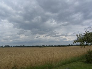 Zdjęcie wykonałem na polach niedaleko Spytkówek. Fot. Tomasz Mandel