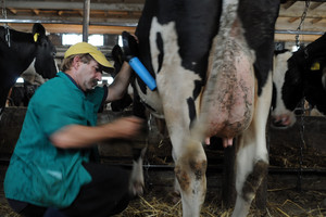 Spółdzielnia Produkcji Rolnej i Przetwórstwa „Nowa Droga” w Kurowie