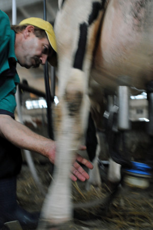 Spółdzielnia Produkcji Rolnej i Przetwórstwa „Nowa Droga” w Kurowie