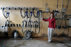 Spółdzielnia Produkcji Rolnej i Przetwórstwa „Nowa Droga” w Kurowie