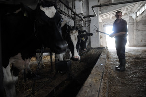 Spółdzielnia Produkcji Rolnej i Przetwórstwa „Nowa Droga” w Kurowie