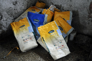 Spółdzielnia Produkcji Rolnej i Przetwórstwa „Nowa Droga” w Kurowie