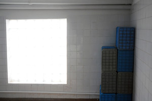 Spółdzielnia Produkcji Rolnej i Przetwórstwa „Nowa Droga” w Kurowie