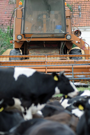 Spółdzielnia Produkcji Rolnej i Przetwórstwa „Nowa Droga” w Kurowie