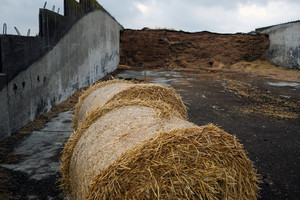 Spółdzielnia Produkcji Rolnej i Przetwórstwa „Nowa Droga” w Kurowie