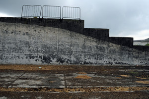 Spółdzielnia Produkcji Rolnej i Przetwórstwa „Nowa Droga” w Kurowie