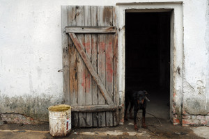 Spółdzielnia Produkcji Rolnej i Przetwórstwa „Nowa Droga” w Kurowie