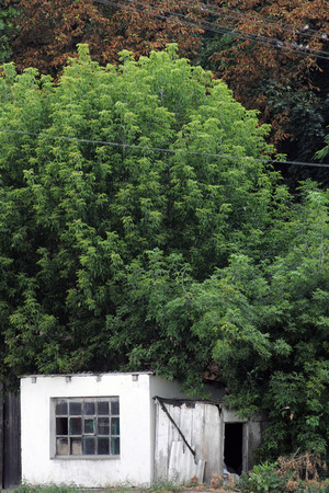 Spółdzielnia Produkcji Rolnej i Przetwórstwa „Nowa Droga” w Kurowie