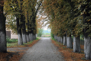 Spółdzielnia Produkcji Rolnej i Przetwórstwa „Nowa Droga” w Kurowie