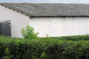 Spółdzielnia Produkcji Rolnej i Przetwórstwa „Nowa Droga” w Kurowie