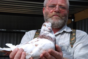 Wieś Chełkowo. Henryk Kubiak, hodowca gołębi rasy King