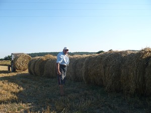 Autor zdjęć Jolanta Jobczyk.  Zdjęcia zrobione dnia 8. 08. 2008 r. w Łagowie gm. Krzywiń, na polu przy posesji Henryka Frąckowiaka. Na fotografiach jest Pan Henryk Frąckowiak, który po zakończeniu żniw, zwozi słomę z pól.